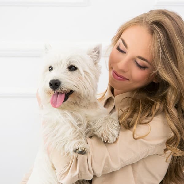 Dog rescue and care activities