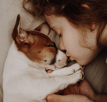 6 must know tips for flying with your dog