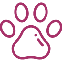 Professional Dog Care Icon