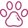 Professional Dog Care